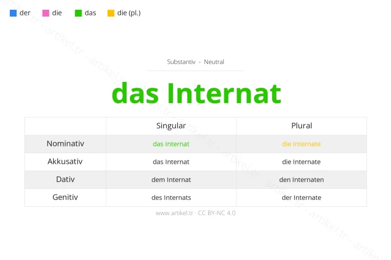 What is the Article of Internat in German?