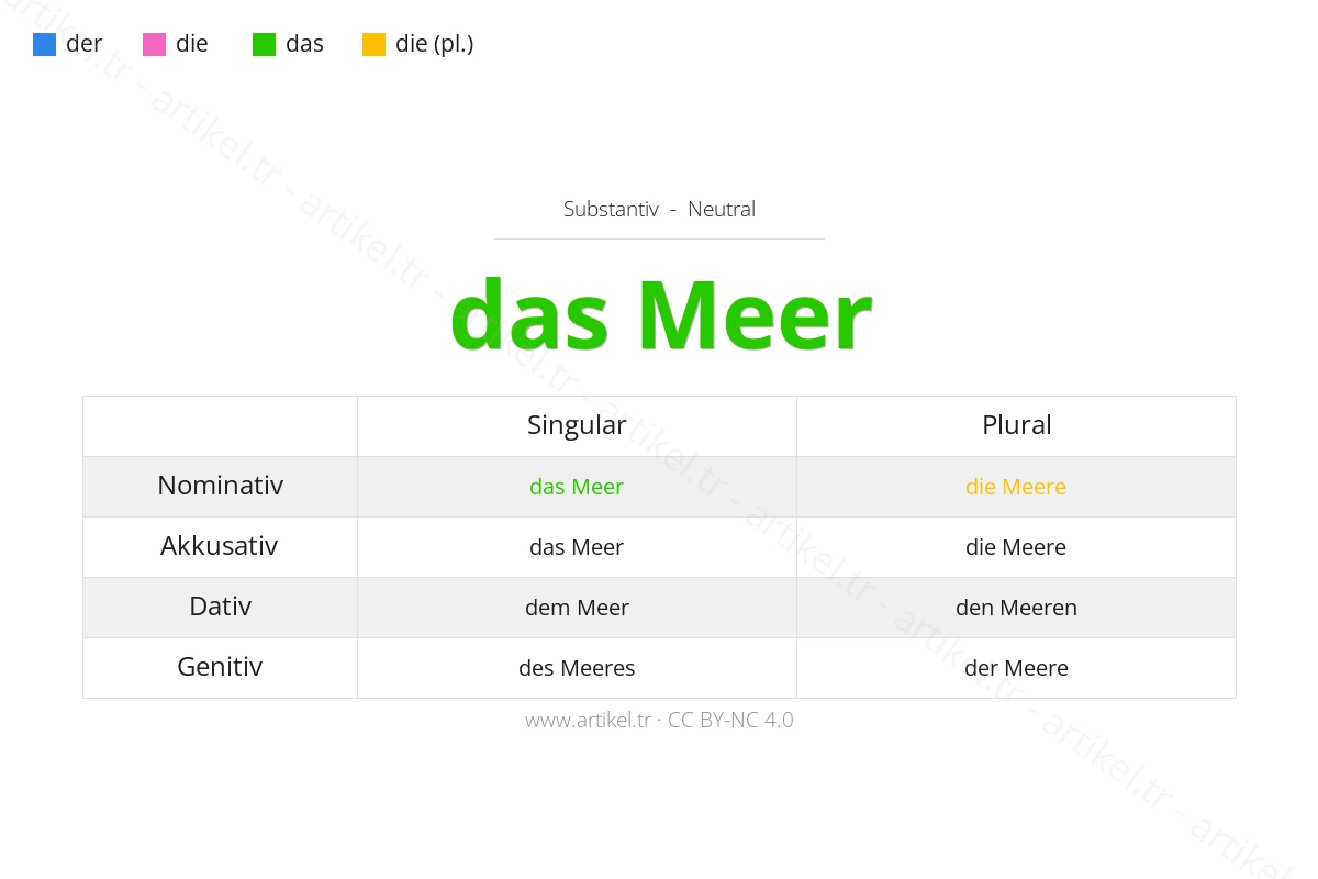 What is the Article of Meer in German?
