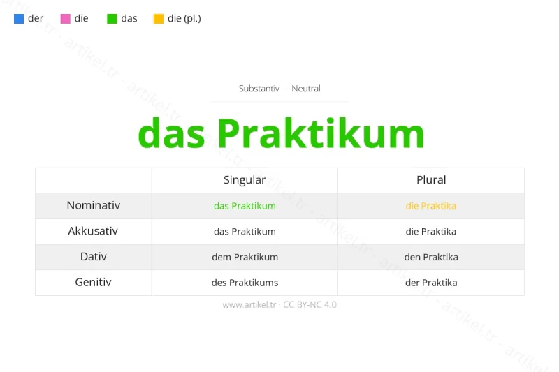 ما هي أداة التعريف لكلمة Praktikum بالألمانية؟