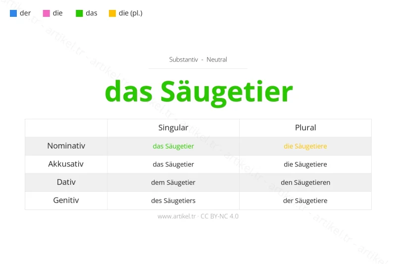 ما هي أداة التعريف لكلمة Säugetier بالألمانية؟