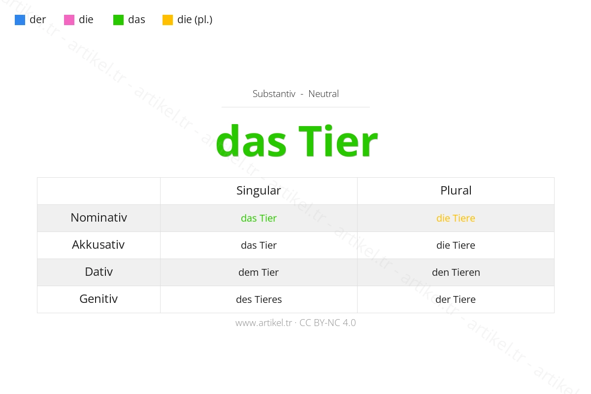 Almanca'da Tier Artikeli Nedir?