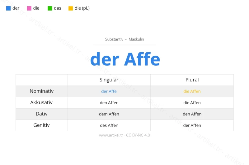 ما هي أداة التعريف لكلمة Affe بالألمانية؟