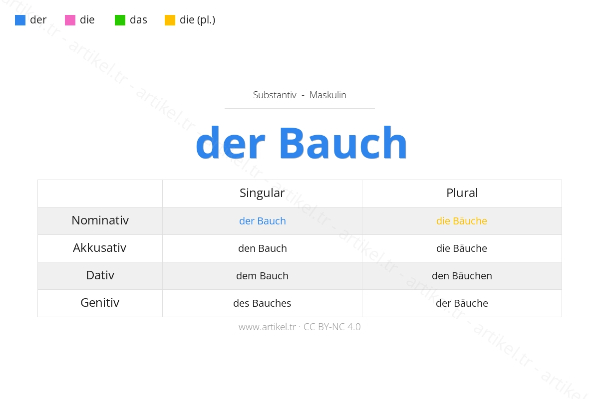 Welcher Artikel ist Bauch auf Deutsch?