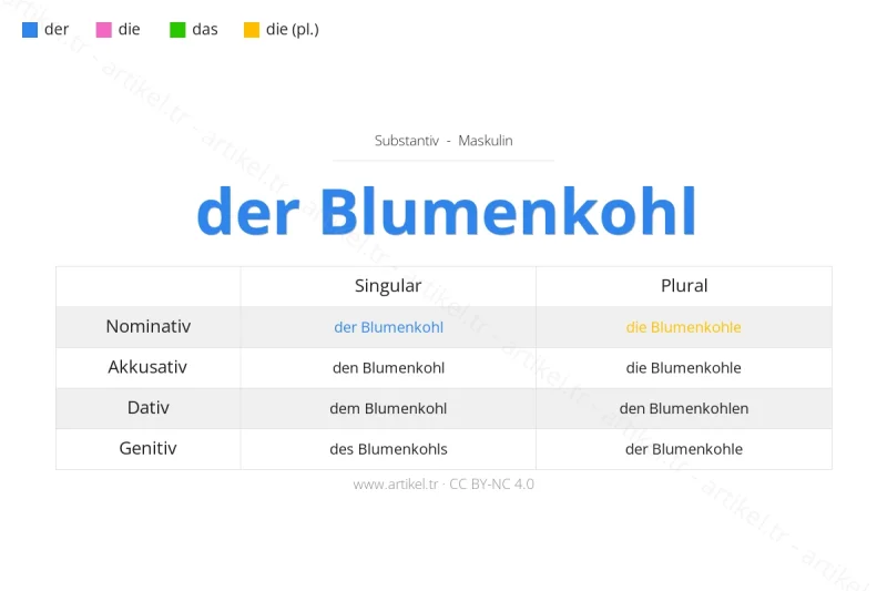 ما هي أداة التعريف لكلمة Blumenkohl بالألمانية؟