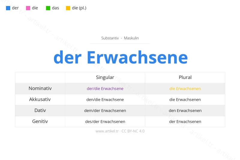 What is the Article of Erwachsene in German?
