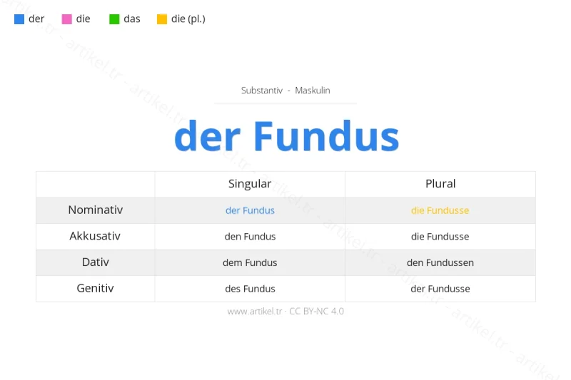 ما هي أداة التعريف لكلمة Fundus بالألمانية؟