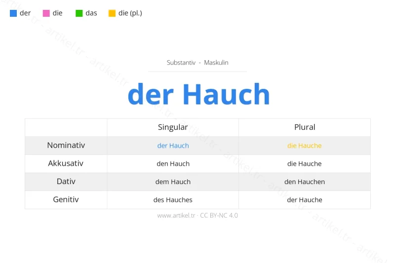 ما هي أداة التعريف لكلمة Hauch بالألمانية؟
