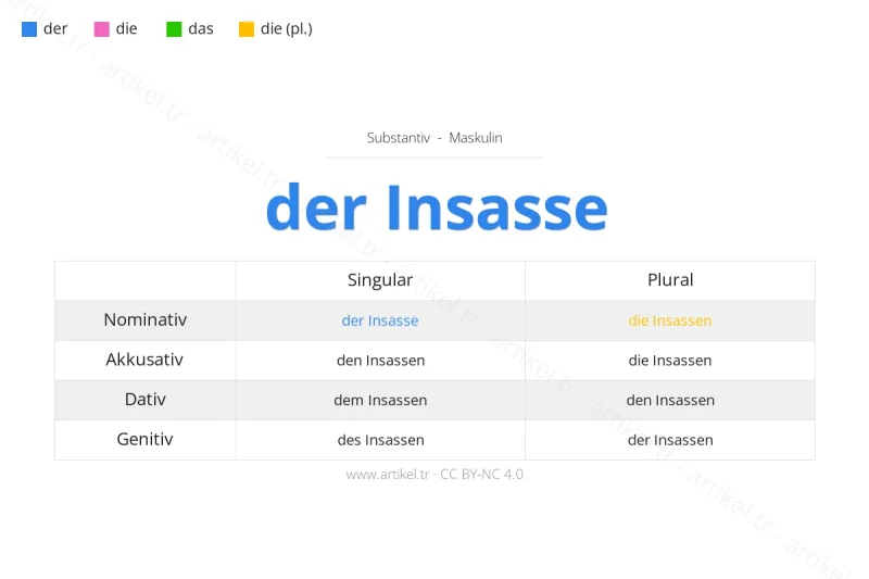 What is the Article of Insasse in German?
