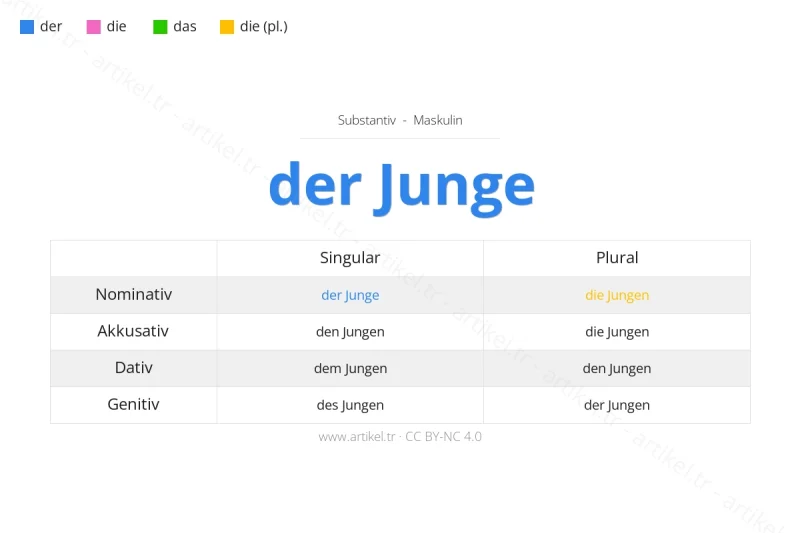 Welcher Artikel ist Junge auf Deutsch?
