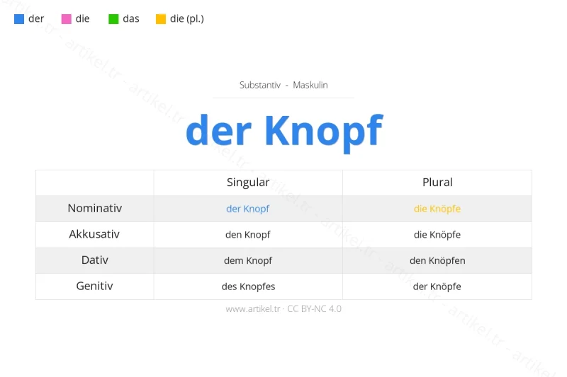 ما هي أداة التعريف لكلمة Knopf بالألمانية؟