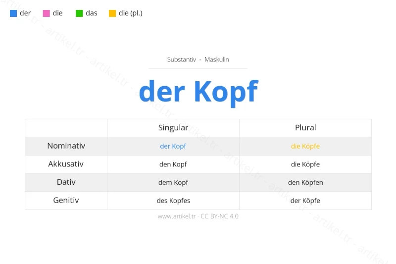 ما هي أداة التعريف لكلمة Kopf بالألمانية؟
