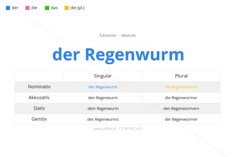 Welcher Artikel ist Regenwurm auf Deutsch?