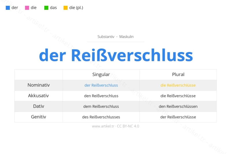 ما هي أداة التعريف لكلمة Reißverschluss بالألمانية؟