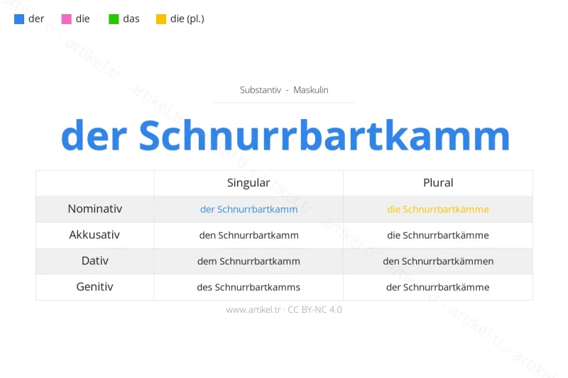 ما هي أداة التعريف لكلمة Schnurrbartkamm بالألمانية؟