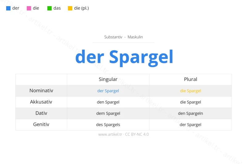 Welcher Artikel ist Spargel auf Deutsch?