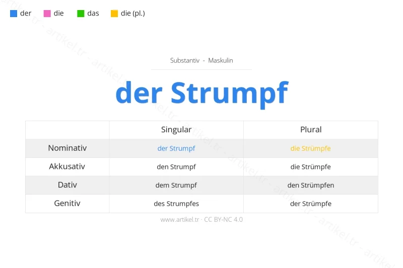 ما هي أداة التعريف لكلمة Strumpf بالألمانية؟