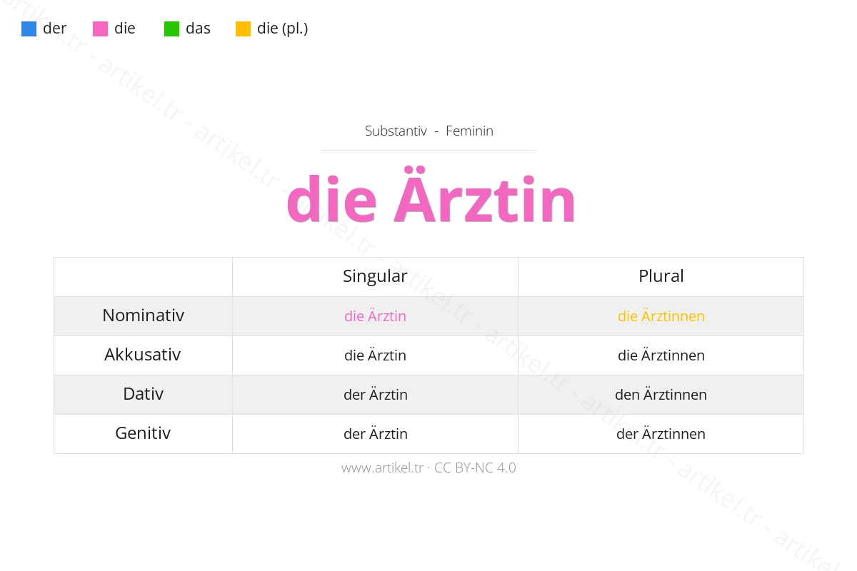 Almanca'da Ärztin Artikeli Nedir?