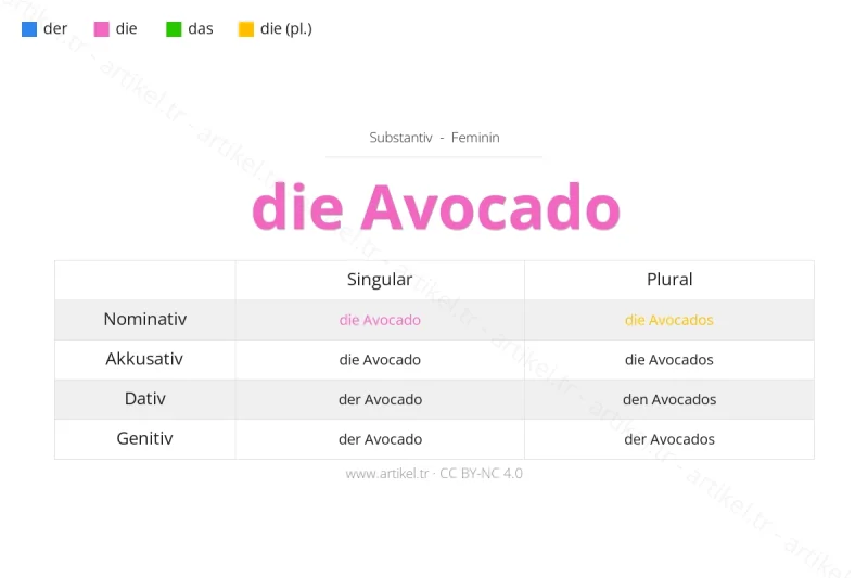 ما هي أداة التعريف لكلمة Avocado بالألمانية؟