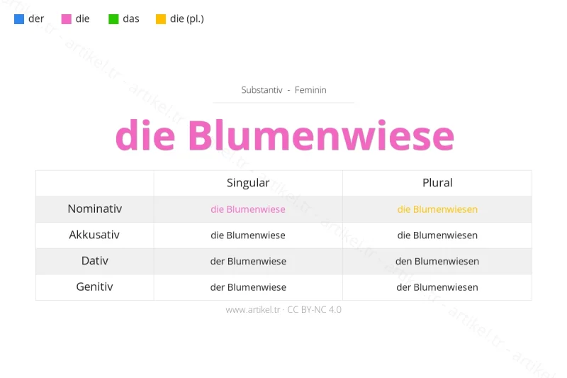 ما هي أداة التعريف لكلمة Blumenwiese بالألمانية؟