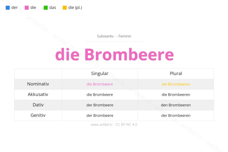 ما هي أداة التعريف لكلمة Brombeere بالألمانية؟