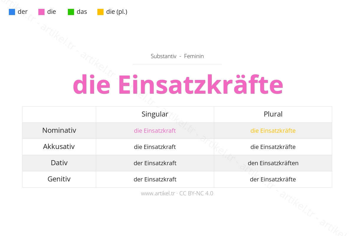 What is the Article of Einsatzkräfte in German?