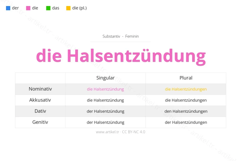 ما هي أداة التعريف لكلمة Halsentzündung بالألمانية؟