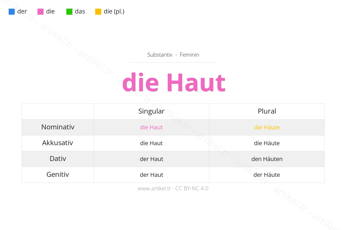 Welcher Artikel ist Haut auf Deutsch?
