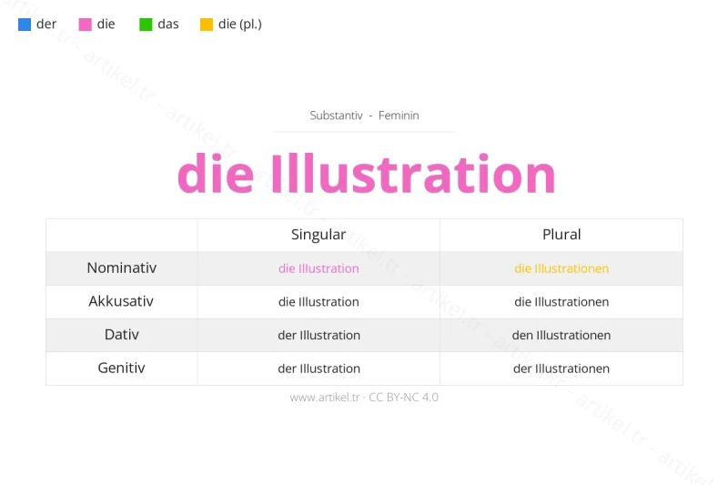 ما هي أداة التعريف لكلمة Illustration بالألمانية؟