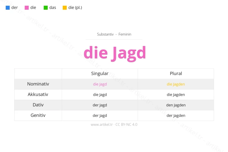 ما هي أداة التعريف لكلمة Jagd بالألمانية؟