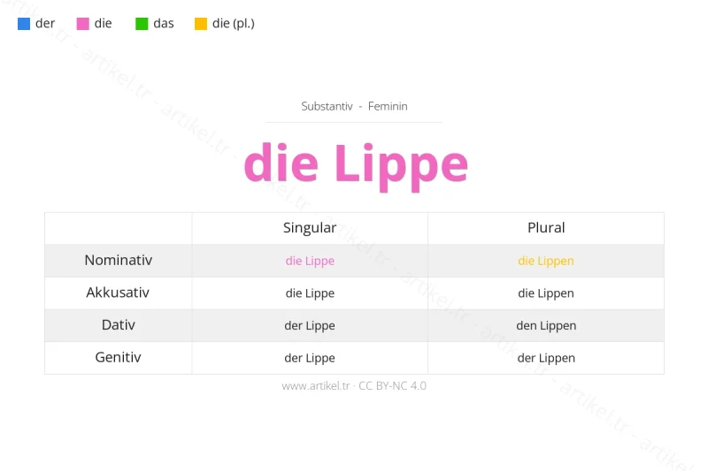 ما هي أداة التعريف لكلمة Lippe بالألمانية؟