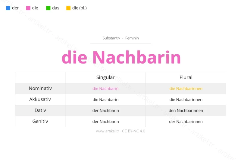 ما هي أداة التعريف لكلمة Nachbarin بالألمانية؟