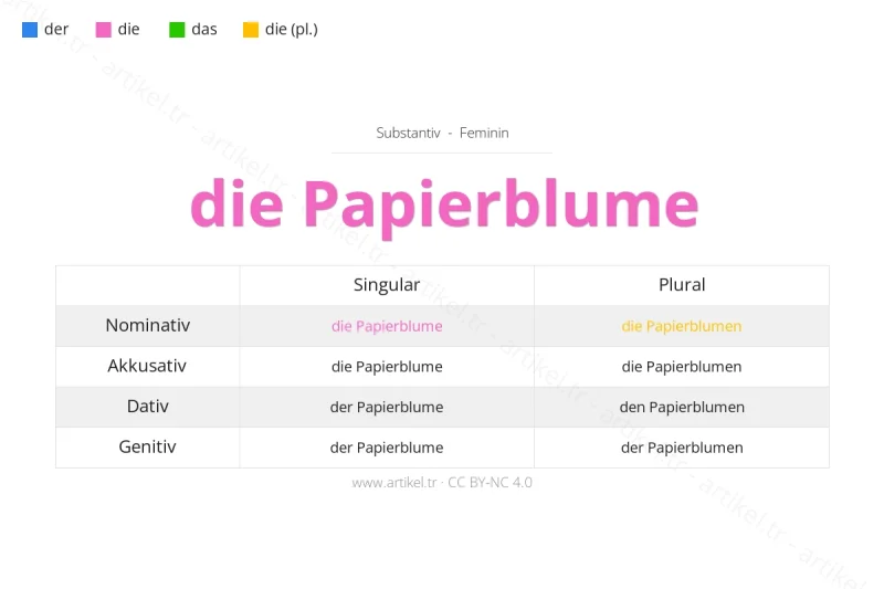 ما هي أداة التعريف لكلمة Papierblume بالألمانية؟