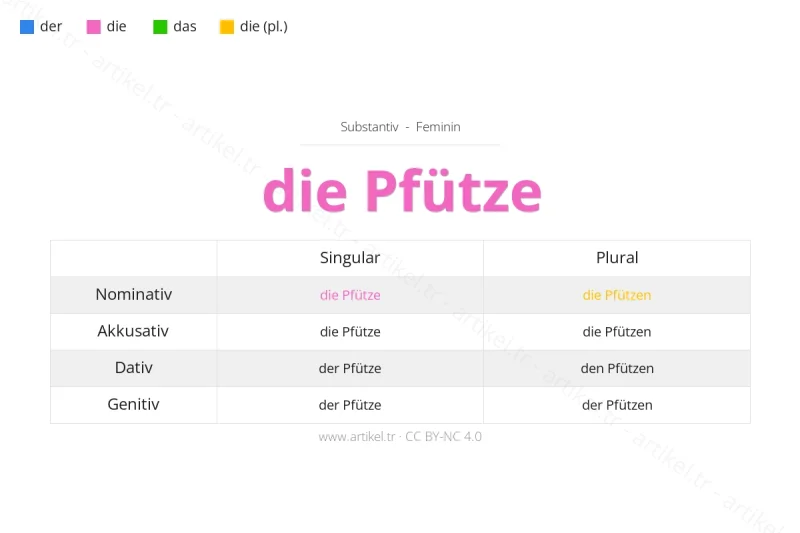 ما هي أداة التعريف لكلمة Pfütze بالألمانية؟