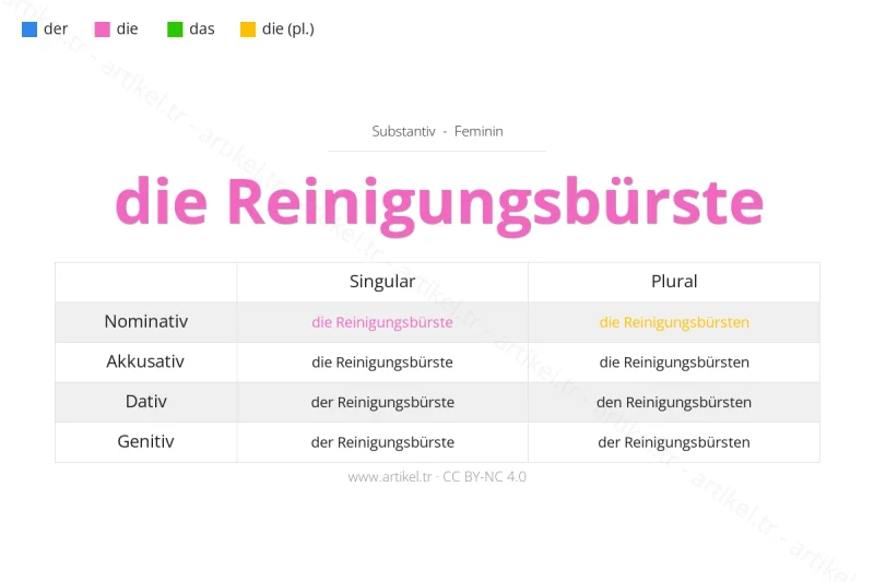 ما هي أداة التعريف لكلمة Reinigungsbürste بالألمانية؟