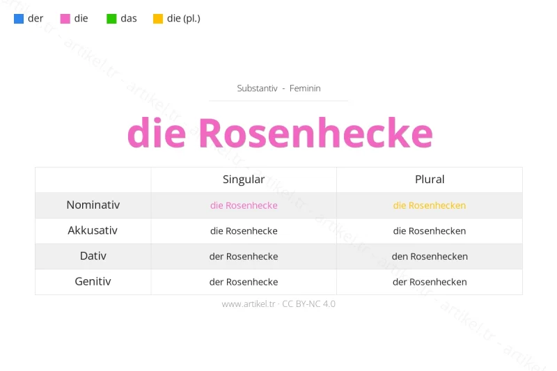ما هي أداة التعريف لكلمة Rosenhecke بالألمانية؟