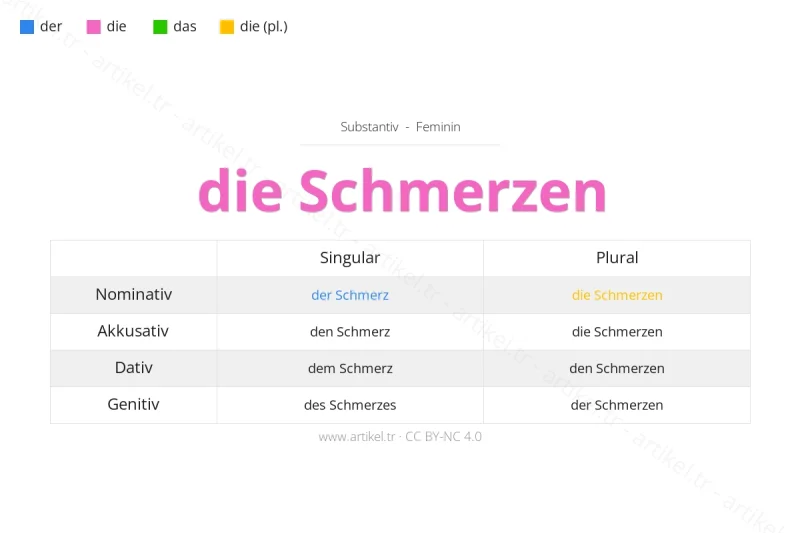 ما هي أداة التعريف لكلمة Schmerzen بالألمانية؟