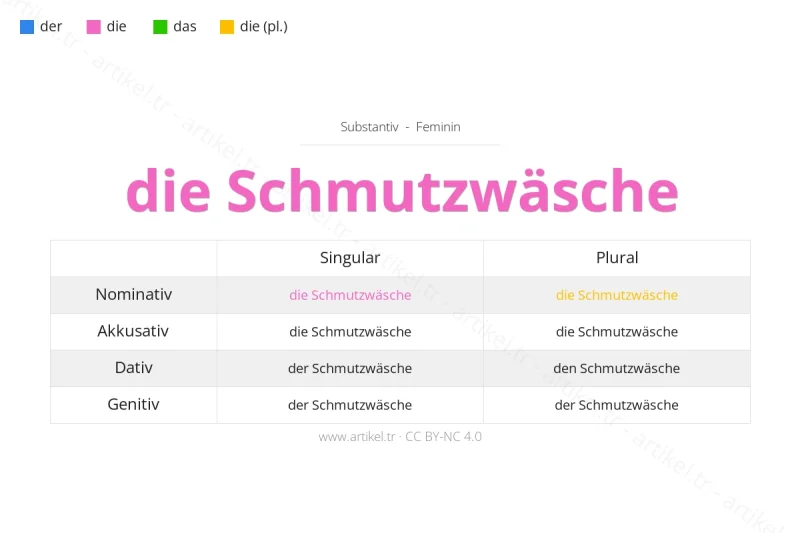 ما هي أداة التعريف لكلمة Schmutzwäsche بالألمانية؟