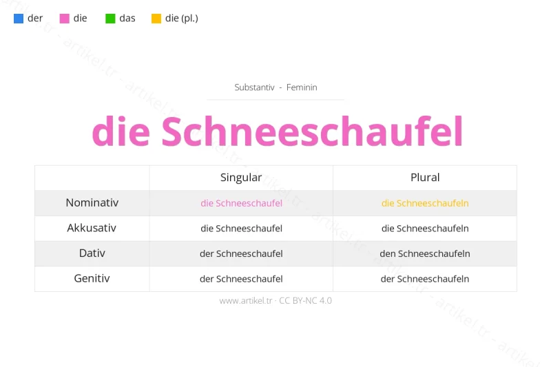 ما هي أداة التعريف لكلمة Schneeschaufel بالألمانية؟