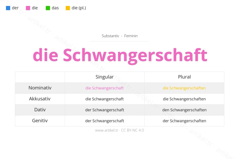 ما هي أداة التعريف لكلمة Schwangerschaft بالألمانية؟