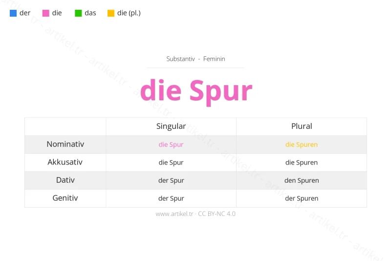 ما هي أداة التعريف لكلمة Spur بالألمانية؟