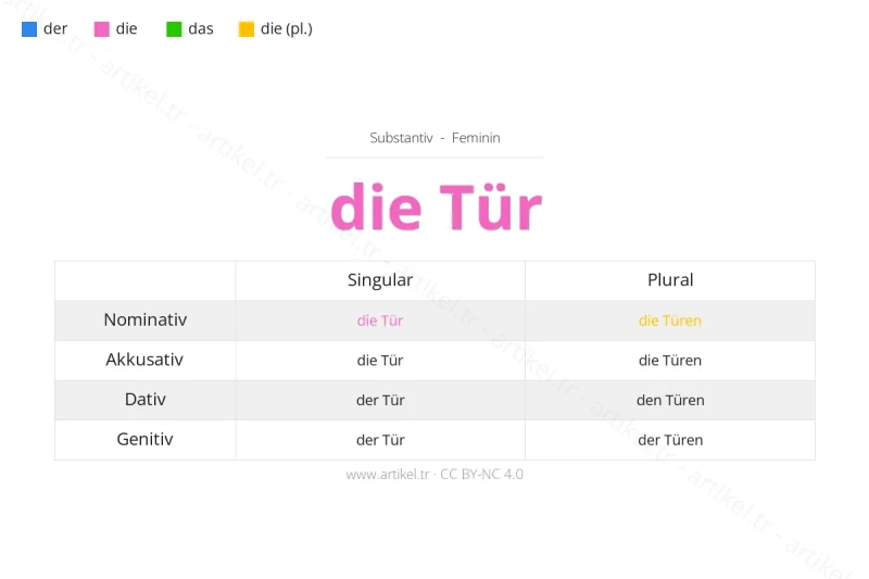ما هي أداة التعريف لكلمة Tür بالألمانية؟