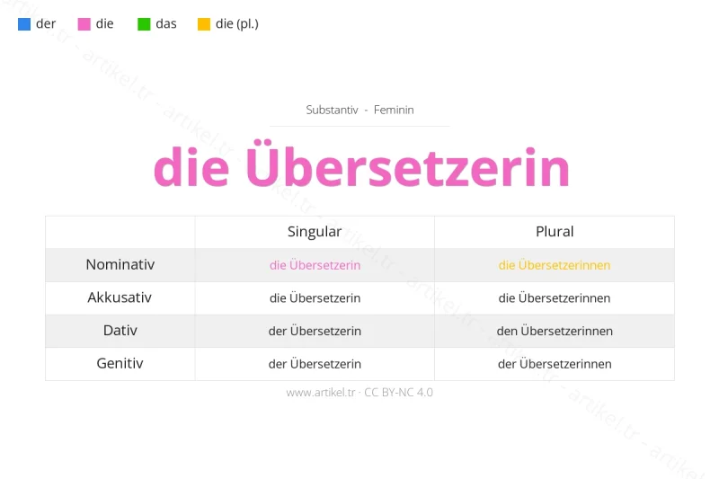 ما هي أداة التعريف لكلمة Übersetzerin بالألمانية؟