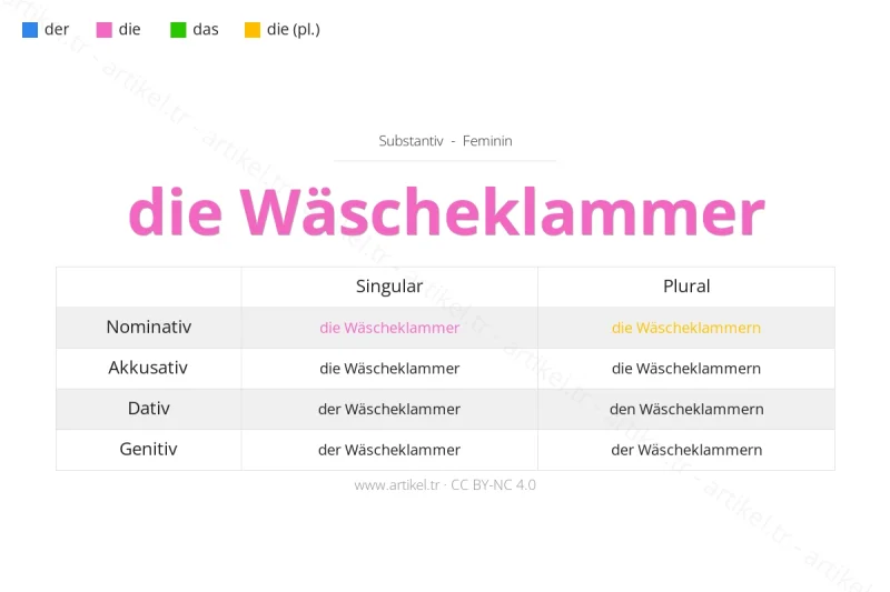 ما هي أداة التعريف لكلمة Wäscheklammer بالألمانية؟